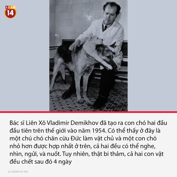 15 bức hình hoàn toàn có thật và gây ám ảnh cực mạnh, được chọn lọc từ những khoảnh khắc đen tối nhất của lịch sử loài người - Ảnh 13. 15 bức hình hoàn toàn có thật và gây ám ảnh cực mạnh, được chọn lọc từ những khoảnh khắc đen tối nhất của lịch sử loài người - Ảnh 13.