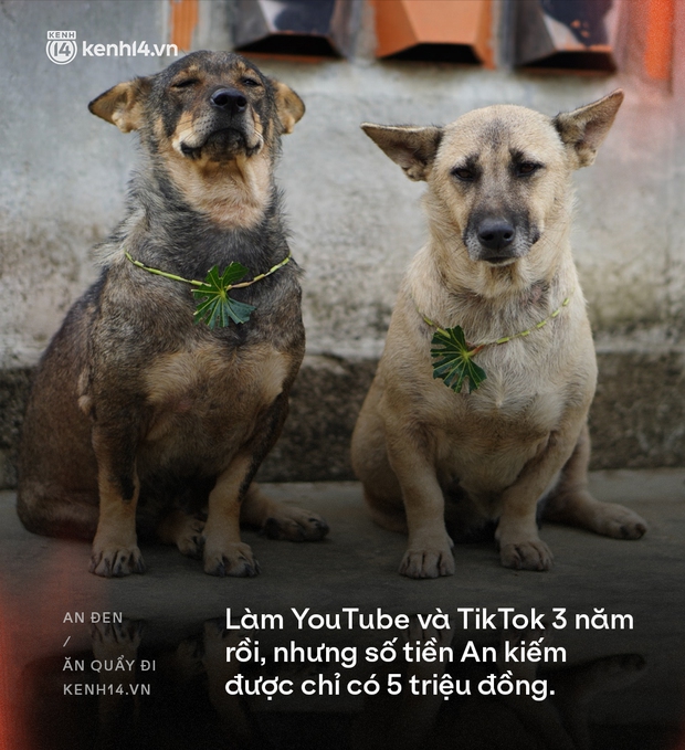 Cô nàng TikToker chốn đồng quê hot nhất hiện nay: Gắn bó với Sài Gòn suốt 9 năm nhưng vẫn từ bỏ để về quê vì mong đêm về ngủ ngon - Ảnh 5.