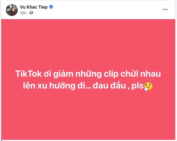 Lệ Quyên đính chính về tài khoản TikTok pha ke, nói rõ lý do không sử dụng liên quan đến loạt drama Vbiz? - Ảnh 3. Lệ Quyên đính chính về tài khoản TikTok pha ke, nói rõ lý do không sử dụng liên quan đến loạt drama Vbiz? - Ảnh 3.