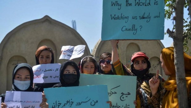 Người phát ngôn Taliban: Phụ nữ chỉ nên sinh con chứ không cần tham gia nội các - Ảnh 1.