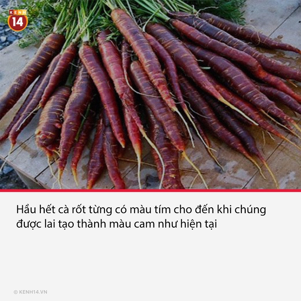15 sự thật đáng quan ngại về thực phẩm mà chúng ta tiêu thụ mỗi ngày, đọc xong muốn ăn chay cũng không nổi - Ảnh 1. 15 sự thật đáng quan ngại về thực phẩm mà chúng ta tiêu thụ mỗi ngày, đọc xong muốn ăn chay cũng không nổi - Ảnh 1.
