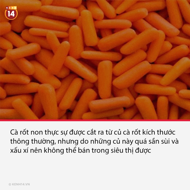 15 sự thật đáng quan ngại về thực phẩm mà chúng ta tiêu thụ mỗi ngày, đọc xong muốn ăn chay cũng không nổi - Ảnh 2. 15 sự thật đáng quan ngại về thực phẩm mà chúng ta tiêu thụ mỗi ngày, đọc xong muốn ăn chay cũng không nổi - Ảnh 2.