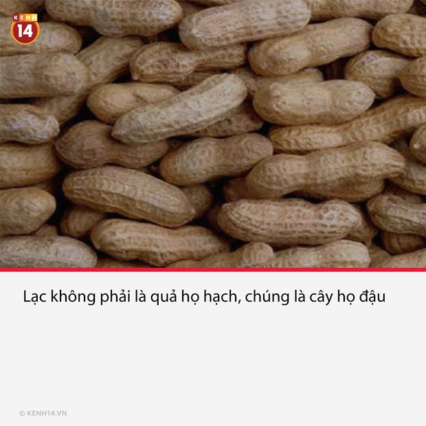 15 sự thật đáng quan ngại về thực phẩm mà chúng ta tiêu thụ mỗi ngày, đọc xong muốn ăn chay cũng không nổi - Ảnh 6. 15 sự thật đáng quan ngại về thực phẩm mà chúng ta tiêu thụ mỗi ngày, đọc xong muốn ăn chay cũng không nổi - Ảnh 6.