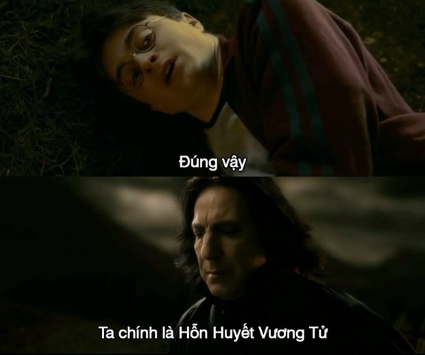 Ngất xỉu khi tên riêng trong Harry Potter được phiên âm Hán Việt: Xoắn hết cả lưỡi, nghe tên Hogwarts hết muốn đi học! - Ảnh 7.