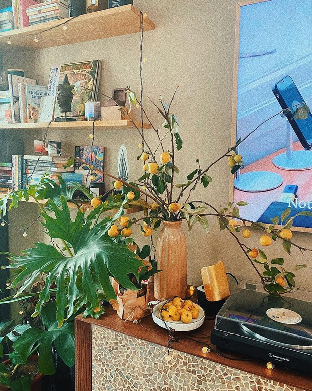 Chị em rộ trend cắm cành hồng, táo mèo đón Trung thu, chơi được tới 20 ngày, quả chín rụng lấy ra thưởng thức luôn - Ảnh 7.