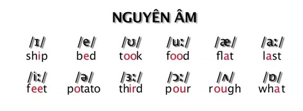 Đỉnh cao của đề kiểm tra Tiếng Anh: Nhìn cách phát âm đoán từ, làm đúng 10/10 nhất định siêu lắm - Ảnh 4.