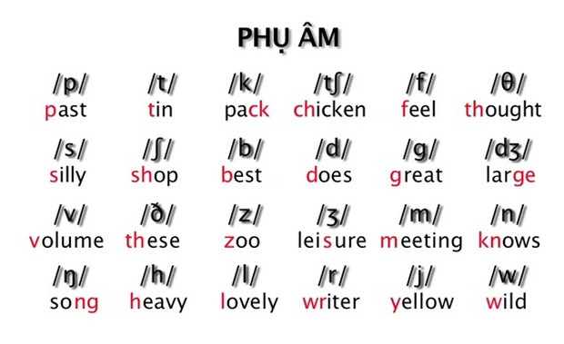 Đỉnh cao của đề kiểm tra Tiếng Anh: Nhìn cách phát âm đoán từ, làm đúng 10/10 nhất định siêu lắm - Ảnh 5.