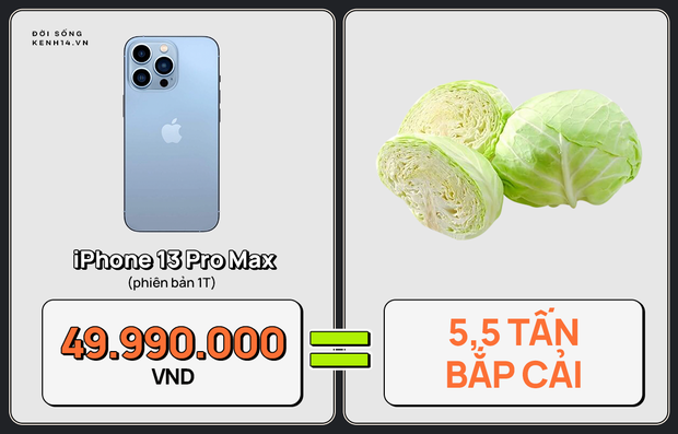 Một chiếc iPhone 13 có thể mua được: 5,5 tấn rau, 471 thùng mì hoặc tới 4 năm ăn phở!!! - Ảnh 9.