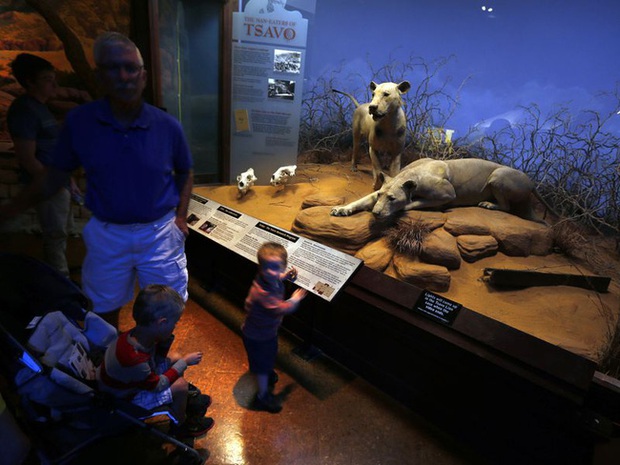 Bí ẩn quái thú ăn thịt người cuồng sát 135 sinh mạng, di ảnh cùng lời giải thích sau hơn 100 năm khiến hậu thế run sợ - Ảnh 2.