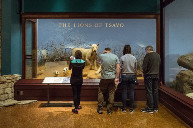 Bí ẩn quái thú ăn thịt người cuồng sát 135 sinh mạng, di ảnh cùng lời giải thích sau hơn 100 năm khiến hậu thế run sợ - Ảnh 5.