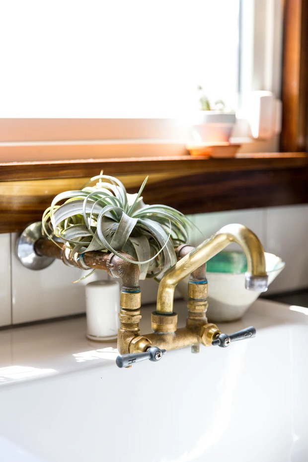 Phòng tắm vừa khô ráo vừa thơm tho với 7 loại cây được ví như máy hút ẩm này - Ảnh 9.