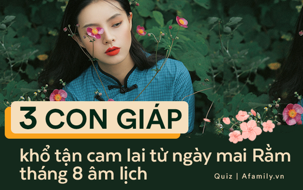 3 con giáp trời sinh không lo phiền muộn, nhỏ được cưng chiều, lớn được cung phụng, sau 30 tuổi cuộc đời bước sang trang mới mang tên thăng hoa - Ảnh 2.