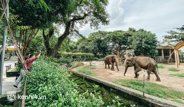Thảo Cầm Viên Sài Gòn kêu cứu, xin hỗ trợ hơn 30 tỷ đồng để chăm sóc bầy thú - Ảnh 2.
