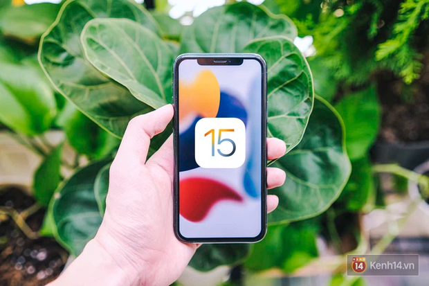 Người Việt phàn nàn vì iOS 15 gặp nhiều lỗi: Hao pin, nóng máy cũng chưa bằng một lỗi nghiêm trọng này! - Ảnh 1.