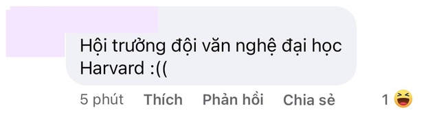 Chi Pu bảo sang Mỹ du học nhưng học gì không nói, netizen gửi lời chúc: Học thanh nhạc nha, hội trưởng đội văn nghệ Đại học Harvard - Ảnh 5.