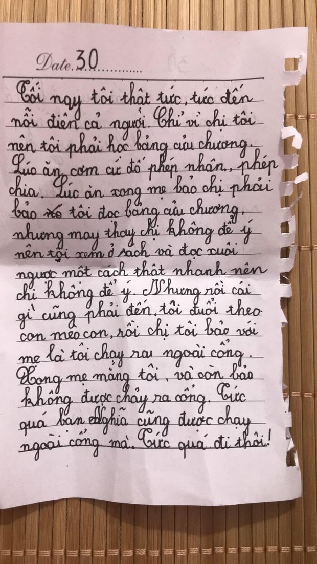 Bé gái lớp 2 viết nhật ký nói xấu cả thế giới, tự nhận ngu ngốc nhưng vẫn chốt 1 câu khiến dân tình cười ngất - Ảnh 1.