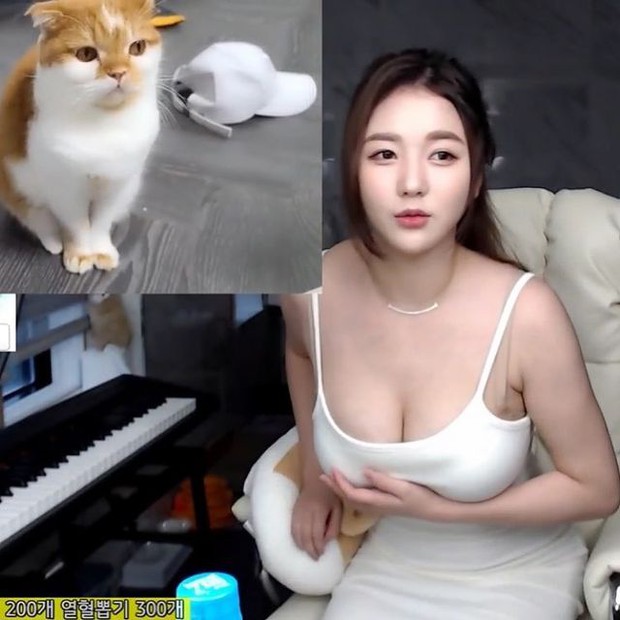 Bị anti xúc phạm dùng ngực câu donate, mang cả hình lên web 18+, nữ streamer gợi cảm tuyên bố quit game giữa đêm - Ảnh 4. Bị anti xúc phạm dùng ngực câu donate, mang cả hình lên web 18+, nữ streamer gợi cảm tuyên bố quit game giữa đêm - Ảnh 4.