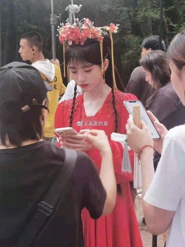 Nghiệp diễn của Cúc Tịnh Y có nguy cơ chững lại, trượt dài không phanh vì 1 lệnh cấm chấn động vừa được ban hành? - Ảnh 8. Nghiệp diễn của Cúc Tịnh Y có nguy cơ chững lại, trượt dài không phanh vì 1 lệnh cấm chấn động vừa được ban hành? - Ảnh 8.