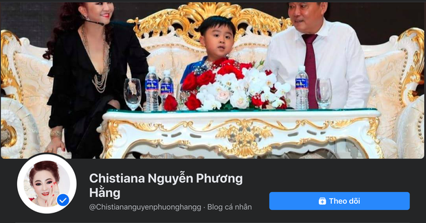 Xuất hiện hàng loạt fanpage giả mạo nữ CEO Đại Nam với câu từ gay gắt về sự ra đi của Phi Nhung - Ảnh 5.