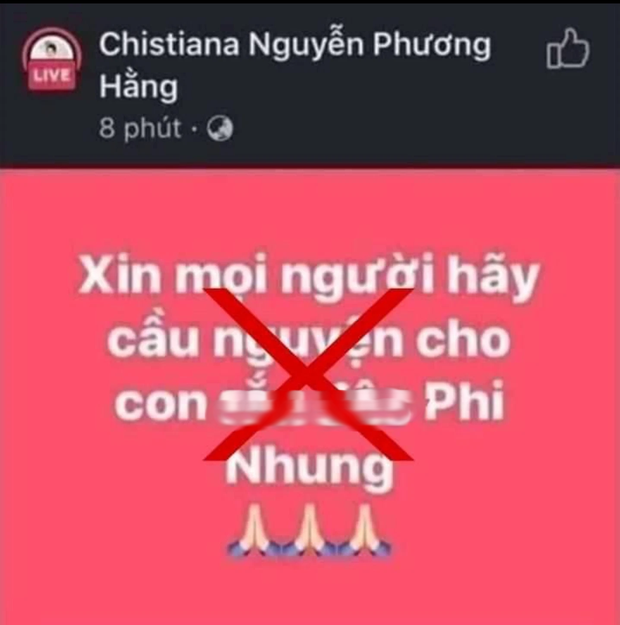 Xuất hiện hàng loạt fanpage giả mạo nữ CEO Đại Nam với câu từ gay gắt về sự ra đi của Phi Nhung - Ảnh 3.