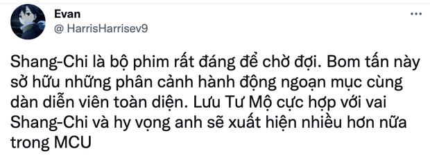 Shang-Chi vừa chiếu đã nhận số điểm chạm nóc, vượt qua Endgame và phá đảo Marvel: Bộ phim hoàn hảo từ đầu tới cuối! - Ảnh 5.