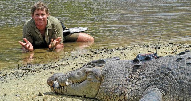 Cái chết nghiệt ngã của thợ săn cá sấu Steve Irwin: Nhà động vật học hàng đầu thế giới và câu chuyện sinh nghề tử nghiệp - Ảnh 6.