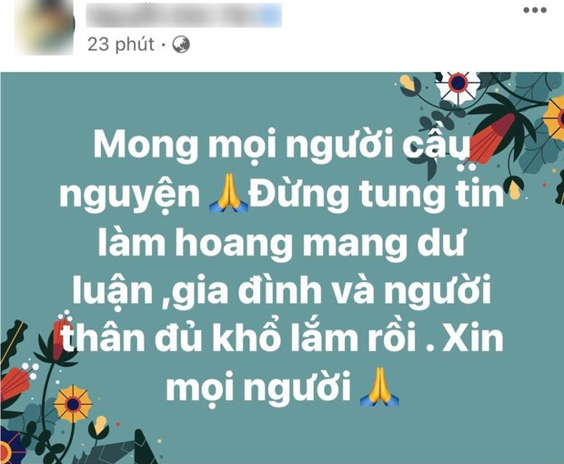 Tròn 10 ngày chuyển vào Chợ Rẫy điều trị, tình hình sức khoẻ của Phi Nhung tiến triển ra sao? - Ảnh 5.