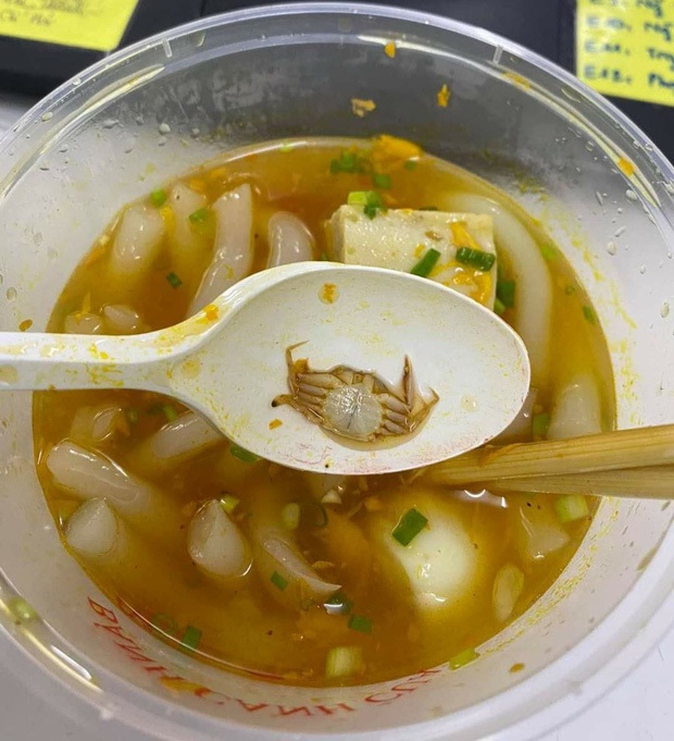 Đang ăn cháo hải sản, cô nàng vớt được nguyên 1 con cua “Hoàng đế” trong bát, nhìn kỹ hơn thì suýt té xỉu - Ảnh 5. Đang ăn cháo hải sản, cô nàng vớt được nguyên 1 con cua “Hoàng đế” trong bát, nhìn kỹ hơn thì suýt té xỉu - Ảnh 5.