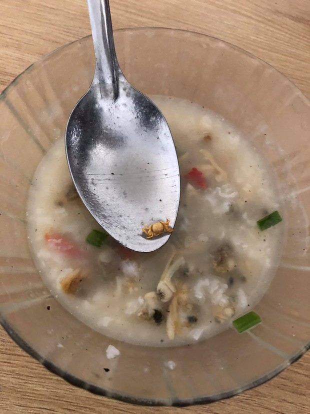 Đang ăn cháo hải sản, cô nàng vớt được nguyên 1 con cua “Hoàng đế” trong bát, nhìn kỹ hơn thì suýt té xỉu - Ảnh 1. Đang ăn cháo hải sản, cô nàng vớt được nguyên 1 con cua “Hoàng đế” trong bát, nhìn kỹ hơn thì suýt té xỉu - Ảnh 1.
