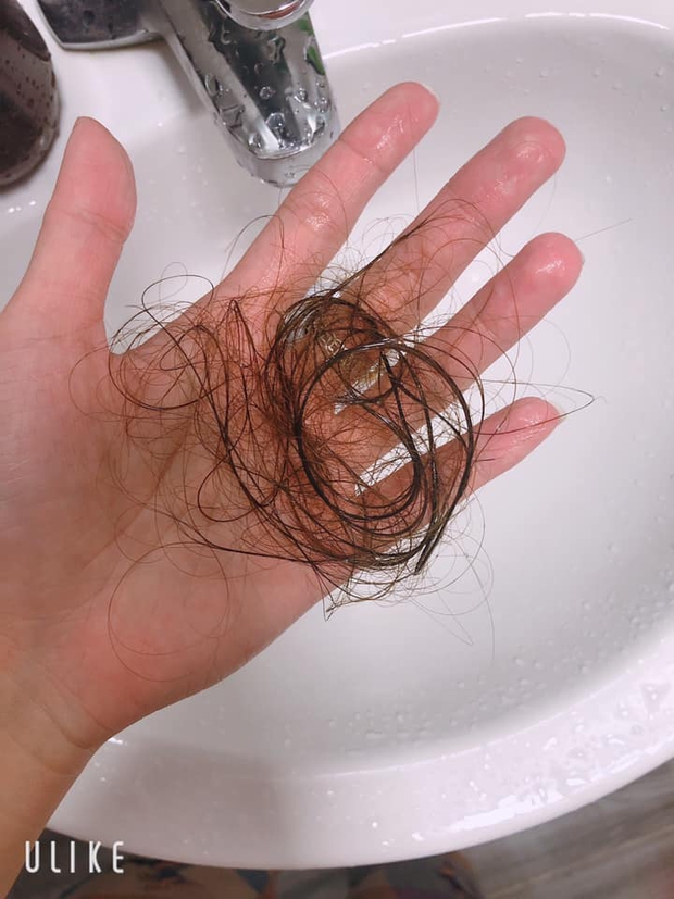 Thu đi để lại lá vàng, chải qua chải lại tóc càng xác xơ - Ảnh 1. Thu đi để lại lá vàng, chải qua chải lại tóc càng xác xơ - Ảnh 1.