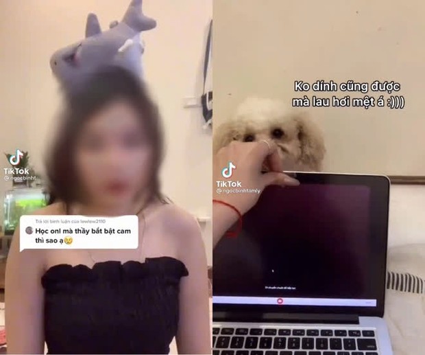 TikToker nổi tiếng dạy học sinh cách đối phó khi bị bắt bật cam học online, thầy giáo tâm lý phản ứng cực gắt - Ảnh 1.