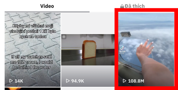 Clip: Bắt trend nhạc thì rất chill nhưng thò ra khỏi máy bay là dễ mất tay như chơi, gây sốc đạt cả trăm triệu view - Ảnh 4. Clip: Bắt trend nhạc thì rất chill nhưng thò ra khỏi máy bay là dễ mất tay như chơi, gây sốc đạt cả trăm triệu view - Ảnh 4.