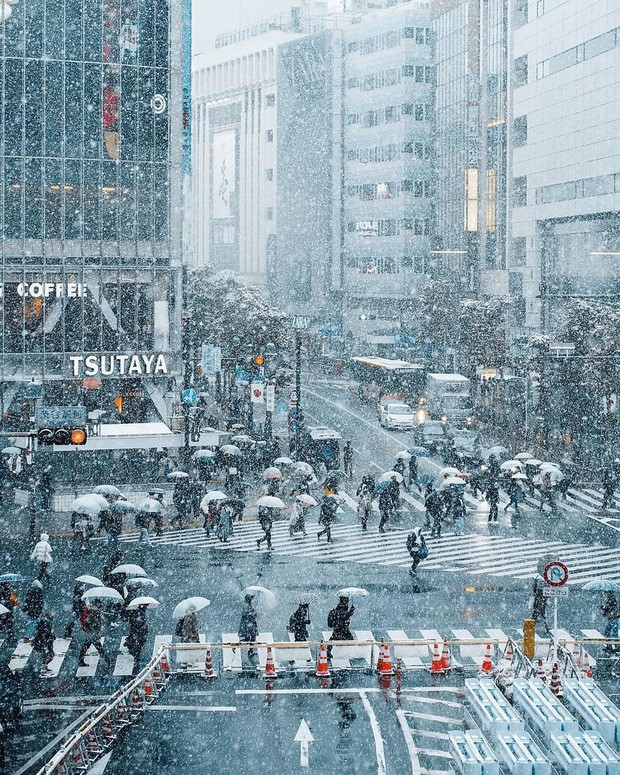 Chùm ảnh: Khung cảnh Tokyo dưới tuyết trắng đẹp đến nao lòng, phảng phất nét buồn tựa cổ tích mùa đông - Ảnh 1. Chùm ảnh: Khung cảnh Tokyo dưới tuyết trắng đẹp đến nao lòng, phảng phất nét buồn tựa cổ tích mùa đông - Ảnh 1.