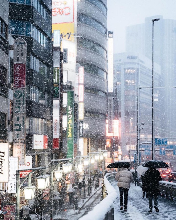 Chùm ảnh: Khung cảnh Tokyo dưới tuyết trắng đẹp đến nao lòng, phảng phất nét buồn tựa cổ tích mùa đông - Ảnh 5. Chùm ảnh: Khung cảnh Tokyo dưới tuyết trắng đẹp đến nao lòng, phảng phất nét buồn tựa cổ tích mùa đông - Ảnh 5.