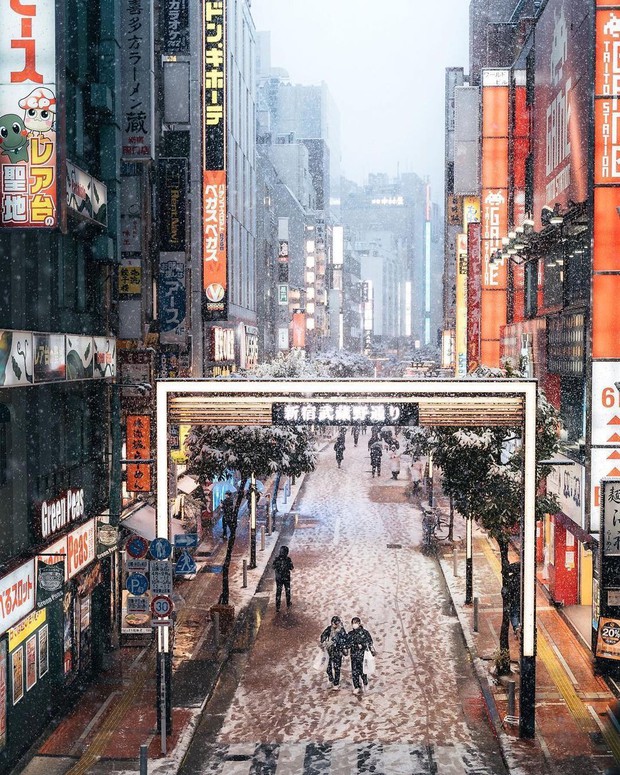 Chùm ảnh: Khung cảnh Tokyo dưới tuyết trắng đẹp đến nao lòng, phảng phất nét buồn tựa cổ tích mùa đông - Ảnh 3. Chùm ảnh: Khung cảnh Tokyo dưới tuyết trắng đẹp đến nao lòng, phảng phất nét buồn tựa cổ tích mùa đông - Ảnh 3.