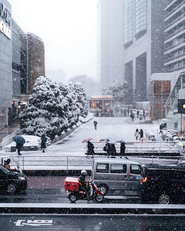 Chùm ảnh: Khung cảnh Tokyo dưới tuyết trắng đẹp đến nao lòng, phảng phất nét buồn tựa cổ tích mùa đông - Ảnh 11. Chùm ảnh: Khung cảnh Tokyo dưới tuyết trắng đẹp đến nao lòng, phảng phất nét buồn tựa cổ tích mùa đông - Ảnh 11.