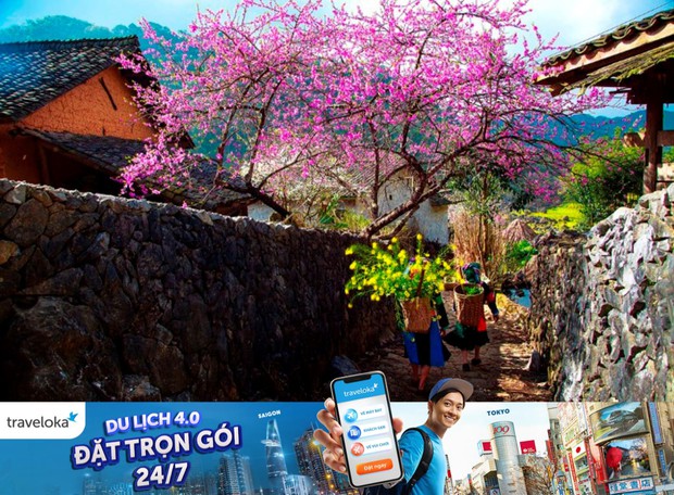 Đã cất công lên tận Sa Pa, hẳn bạn sẽ không muốn bỏ lỡ các món ngon này đâu nhỉ? - Ảnh 1. Đã cất công lên tận Sa Pa, hẳn bạn sẽ không muốn bỏ lỡ các món ngon này đâu nhỉ? - Ảnh 1.