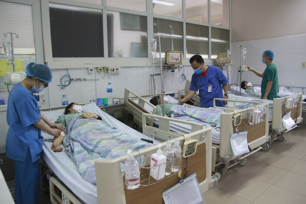 4 người trong gia đình nhập viện do ngộ độc sau khi ăn củ nần - Ảnh 1. 4 người trong gia đình nhập viện do ngộ độc sau khi ăn củ nần - Ảnh 1.