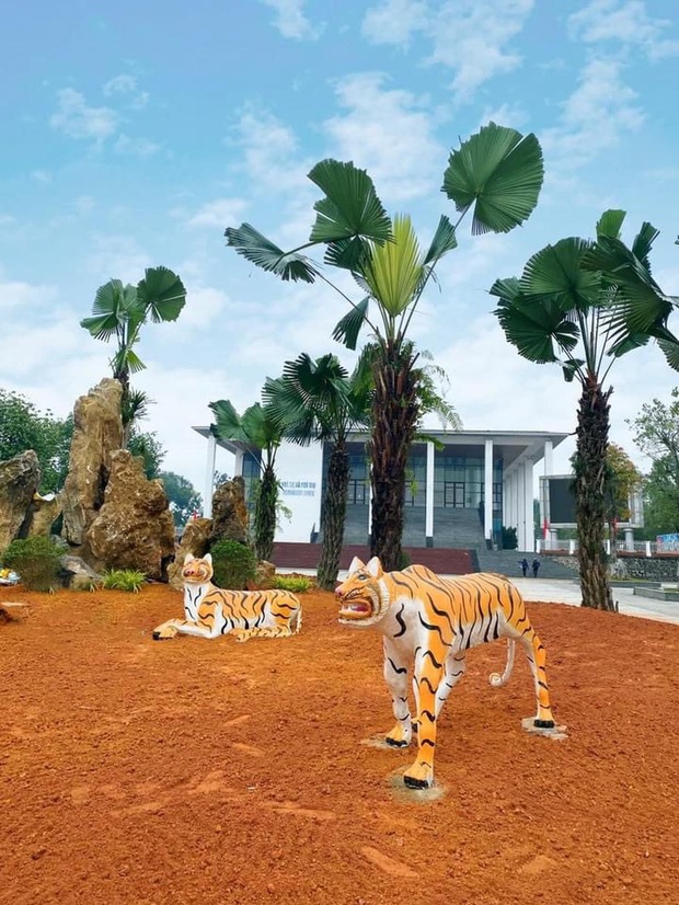 Đàn hổ gầy trơ xương đón Tết 2022, thực hư thông tin bị di dời sau khi gây sốt mạng - Ảnh 1. Đàn hổ gầy trơ xương đón Tết 2022, thực hư thông tin bị di dời sau khi gây sốt mạng - Ảnh 1.