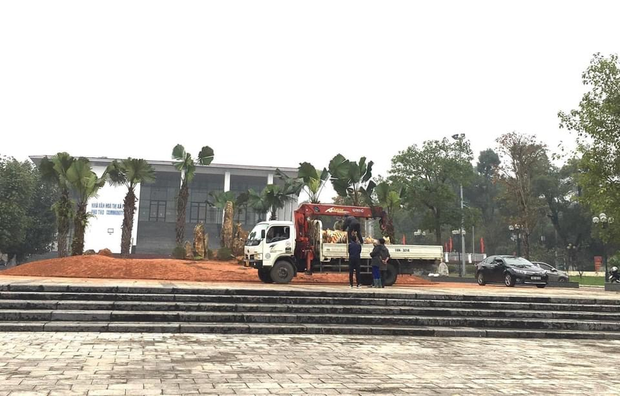 Đàn hổ gầy trơ xương đón Tết 2022, thực hư thông tin bị di dời sau khi gây sốt mạng - Ảnh 8. Đàn hổ gầy trơ xương đón Tết 2022, thực hư thông tin bị di dời sau khi gây sốt mạng - Ảnh 8.