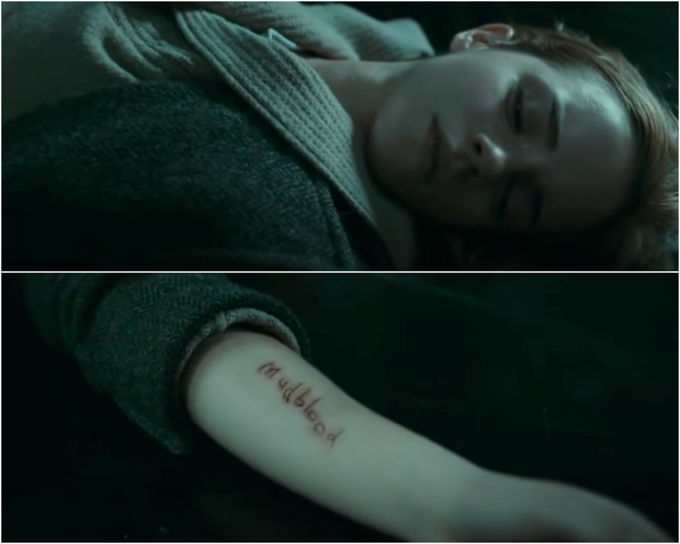 8 chi tiết Harry Potter tập 7 (phần 1) chứa ẩn ý không tưởng: Số phận Dobby vốn đã an bài, 1 hành động nhỏ chứng minh trí tuệ Hermione! - Ảnh 8.