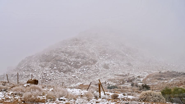 Giữa lòng Arab nóng bức, một sa mạc đang có tuyết phủ trắng xóa - Ảnh 3.