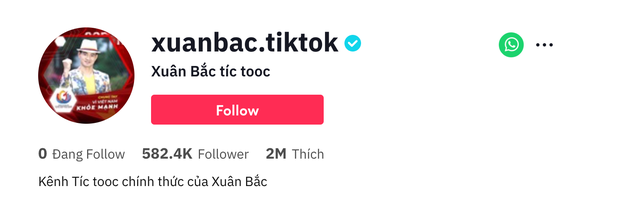Nam nghệ sĩ đình đám Việt Nam dùng TikTok nhưng bị nghi là hàng phake và cái kết khiến nhiều người bất ngờ! - Ảnh 4.