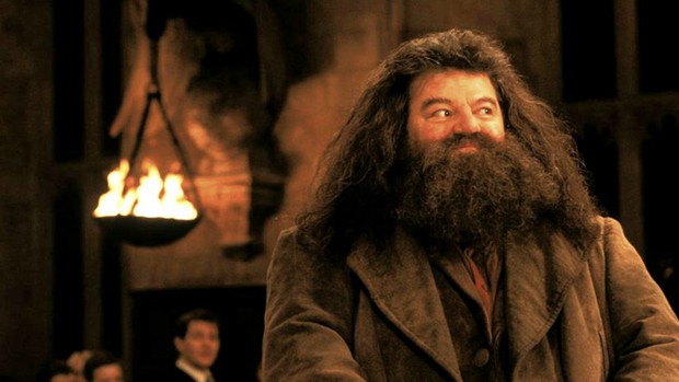 8 bí mật hậu trường Harry Potter tập 1 ngay cả fan cứng cũng không rõ: Daniel Radcliffe suýt mất vai Harry vào tay mỹ nam khác! - Ảnh 8.
