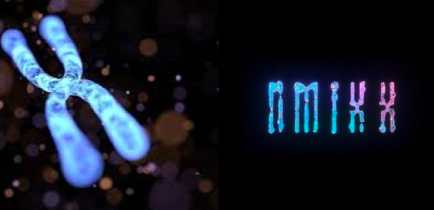 Tân binh nhà JYP đạo nhái nhóm nữ đầu tư gấp 8 lần TWICE, đàn em của BTS cũng không tha, truyền thông bẩn rõ ràng? - Ảnh 12. Tân binh nhà JYP đạo nhái nhóm nữ đầu tư gấp 8 lần TWICE, đàn em của BTS cũng không tha, truyền thông bẩn rõ ràng? - Ảnh 12.