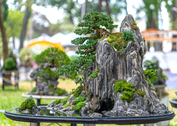 Người nghèo mãi nghèo là do mắc phải tam đại sát trước cửa nhà, còn người giàu âm thầm đặt 5 thứ này để tăng vượng khí - Ảnh 4. Người nghèo mãi nghèo là do mắc phải tam đại sát trước cửa nhà, còn người giàu âm thầm đặt 5 thứ này để tăng vượng khí - Ảnh 4.