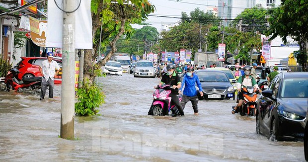 Đường phố Cần Thơ thành sông, người dân lội nước đi làm - Ảnh 14.