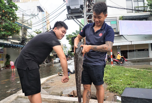 Người dân Đà Nẵng rủ nhau bắt cá trên đường phố sau mưa - Ảnh 10.