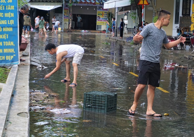 Người dân Đà Nẵng rủ nhau bắt cá trên đường phố sau mưa - Ảnh 8.
