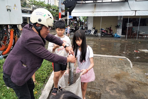 Người dân Đà Nẵng rủ nhau bắt cá trên đường phố sau mưa - Ảnh 7.